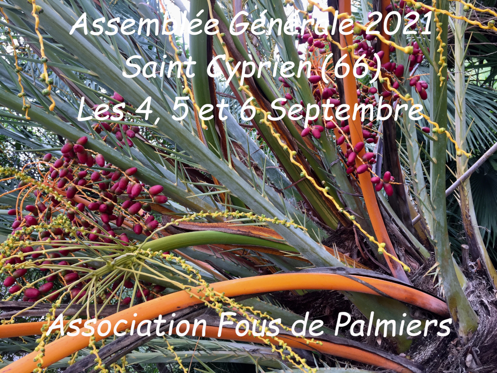 Affiche AG 2021 forum.jpg