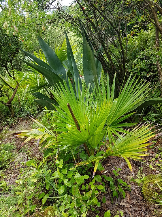 20210704_095143.jpg