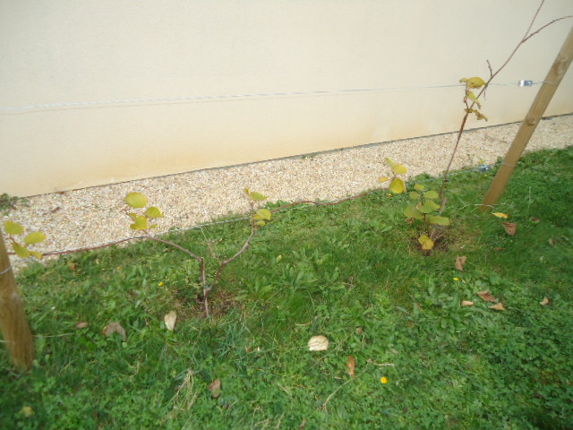 DSC00550.JPG