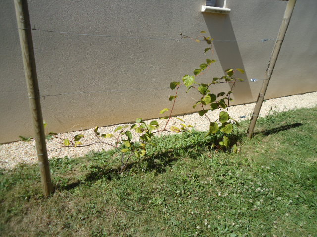 DSC00584.JPG