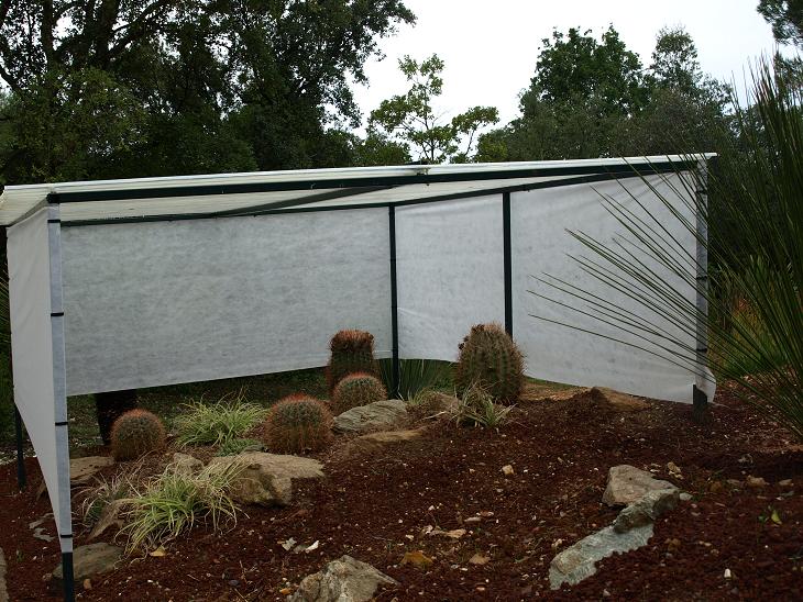 Abri pour succulentes