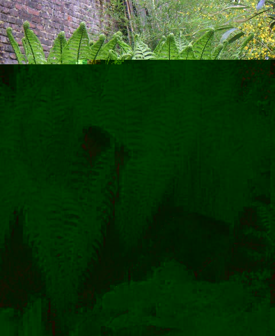 PICT0014'.jpg