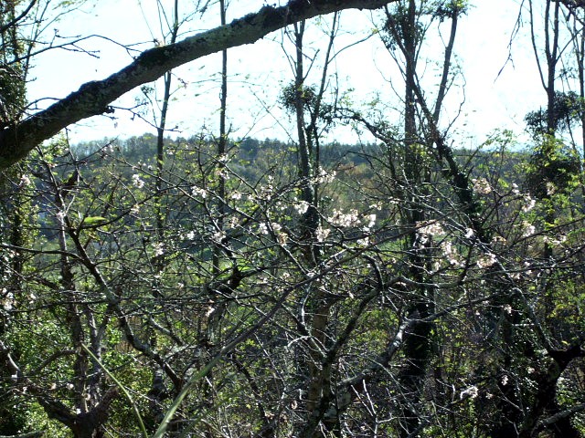 HPIM0225.JPG