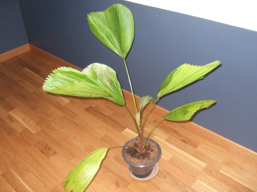 DSCF6329.JPG