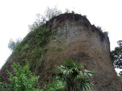 Sur notre commune, le rocher Zombi roche mégalithique qui domine le bourg de Rivière-Pilote avec à sa base un Coccotrinax barbadensis naturel qui voudrait bien atteindre sont sommet!