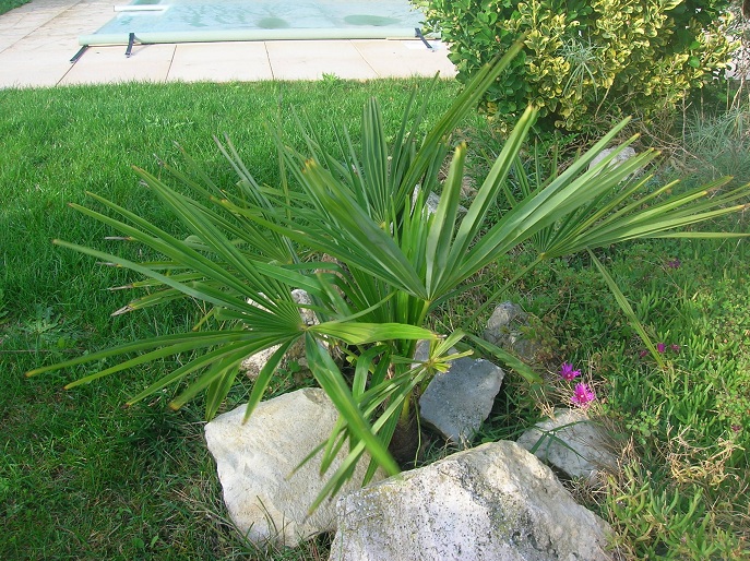 DSCN3768.JPG