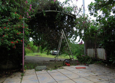 Dégâts sur l'arcade de bougainvillées dus au passage de la tempête.