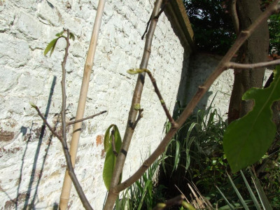 DSCF7019bis.jpg