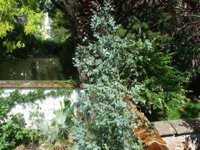 DSCF7088bis.jpg