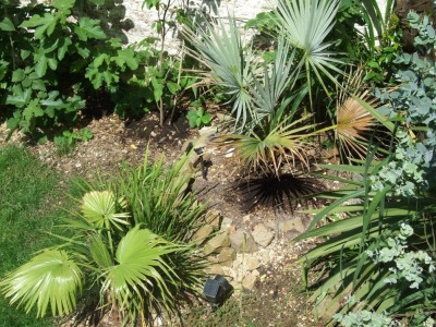 DSCF7090bis.jpg