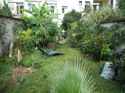 DSCF7126bis.jpg