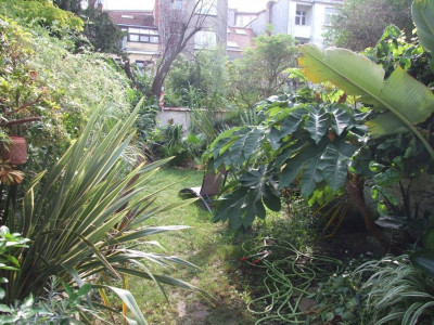 DSCF7138bis.jpg
