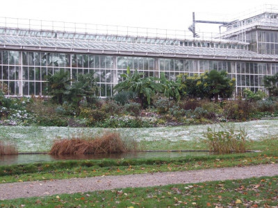 DSCF7220bis.JPG