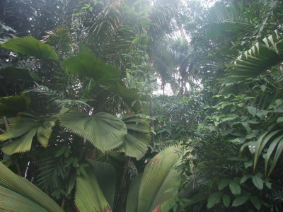 DSCF7227bis.JPG
