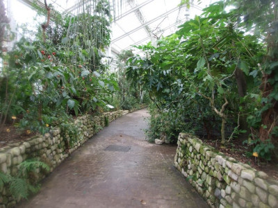 DSCF7232bis.JPG