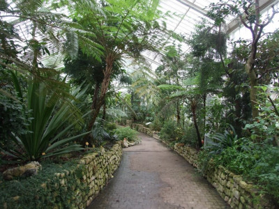 DSCF7238bis.JPG