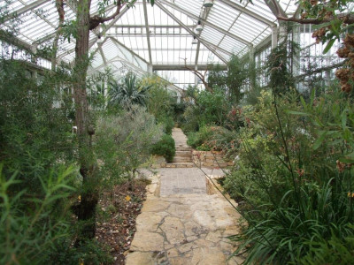 DSCF7247bis.JPG