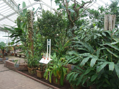 DSCF7252bis.JPG