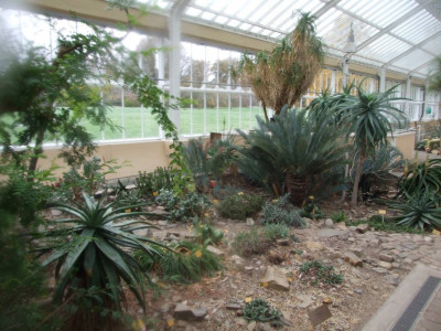 DSCF7272bis.JPG