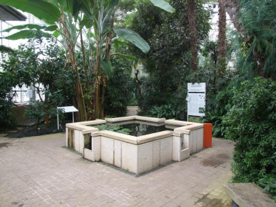 DSCF7279bis.JPG
