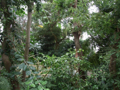 DSCF7282bis.JPG