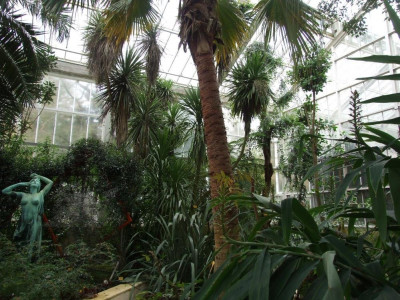 DSCF7285bis.JPG