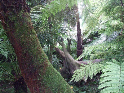 DSCF7291bis.JPG