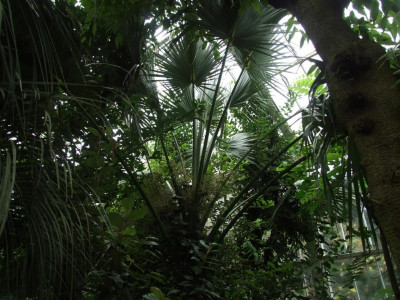 DSCF7300bis.JPG