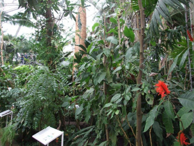 DSCF7313bis.JPG