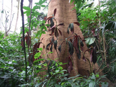 DSCF7314bis.JPG