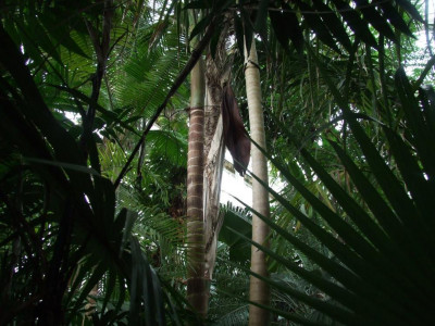 DSCF7318bis.JPG