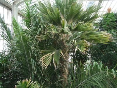 DSCF7331bis.JPG