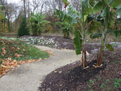 DSCF7355bis.JPG