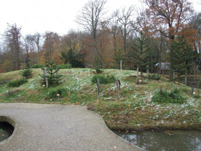 DSCF7363bis.JPG