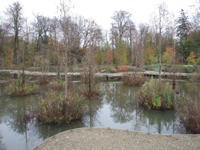 DSCF7364bis.JPG