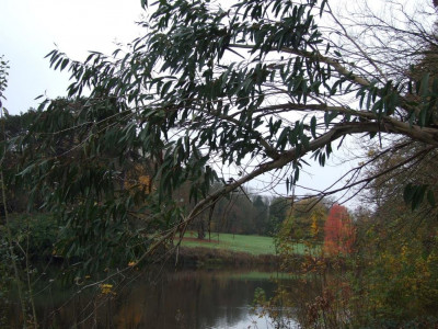 DSCF7381bis.JPG