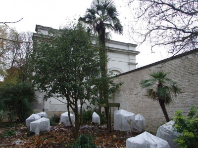 DSCF7433bis.JPG