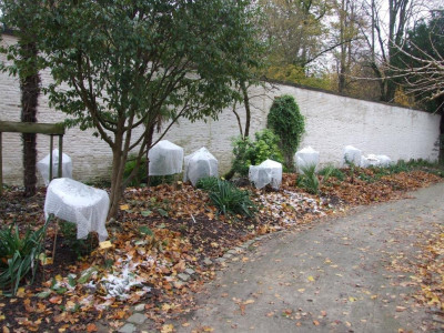 DSCF7437bis.JPG