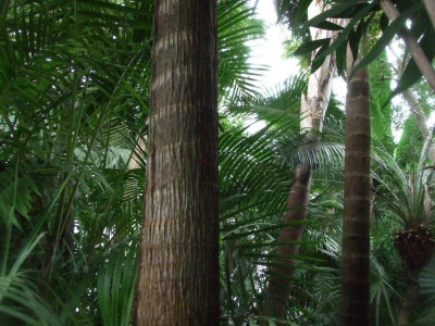 DSCF7529bis.JPG