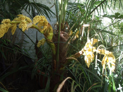 DSCF7795bis.JPG