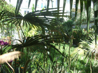 DSCF7797bis.JPG