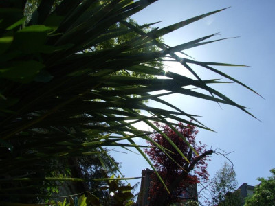 DSCF7844bis.JPG