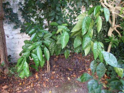 DSCF7925bis.JPG