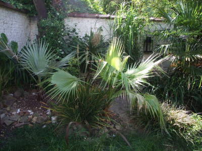 DSCF7930bis.JPG