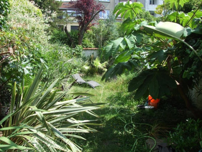 DSCF7938bis.JPG