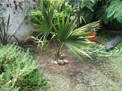 DSCF7993bis.JPG