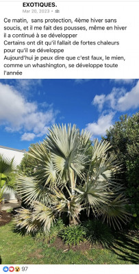 IMG_0287.jpeg
