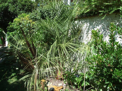 DSCF8024bis.JPG
