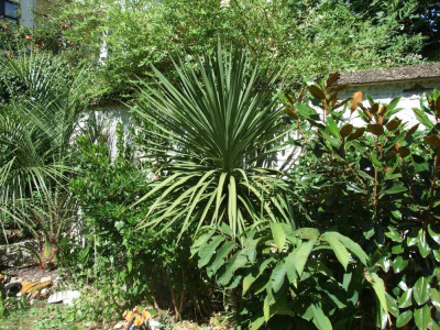 DSCF8026bis.JPG