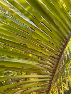 IMG_4213.jpeg